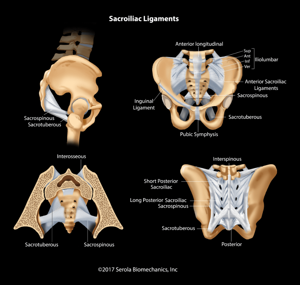 Serola Dysfunktion des Iliosakralbereichs